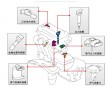 吸氣壓力傳感器專用塑膠原料PBT日本寶理551HS